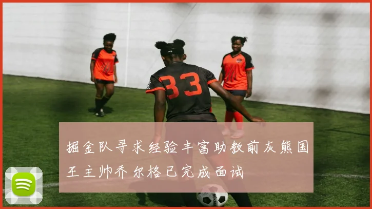 掘金队寻求经验丰富助教前灰熊国王主帅乔尔格已完成面试